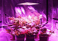 چراغهای رشدی با مصرف انرژی سبک و سبک که منجر به گل دهی رشد 3 سال ضمانت می شود