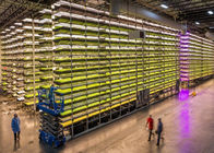 چراغ رشد گلخانه ای 20 واتی LED گیاه رشد نور سایز 90 سانتی متر برای کشاورزی داخلی