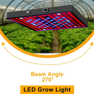 LED طیف کامل گیاه رشد نور 50w 80W قرمز آبی نور برای گلخانه