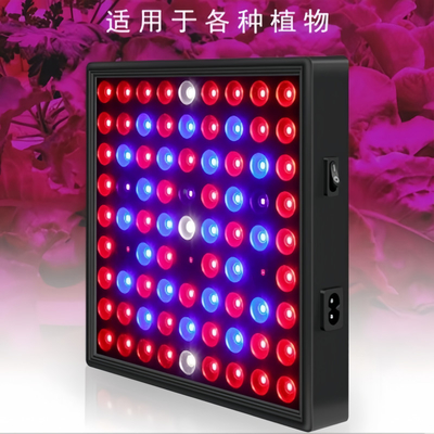 LED طیف کامل گیاه رشد نور 50w 80W قرمز آبی نور برای گلخانه