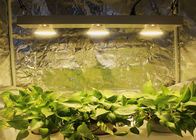 Full Spectrum Indoor LED Grow Light Panel Grow LED 100 - 240W RoHS
