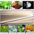Bright Indoor LED Grow Light T8 18w Full Spectrum LED Grow Light 5 سال گارانتی