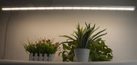 Bright Indoor LED Grow Light T8 18w Full Spectrum LED Grow Light 5 سال گارانتی